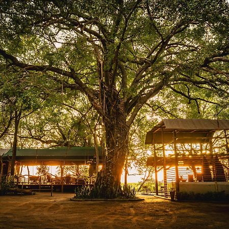 Askiesbos - Samochima Bush Camp Shakawe Kültér fotó