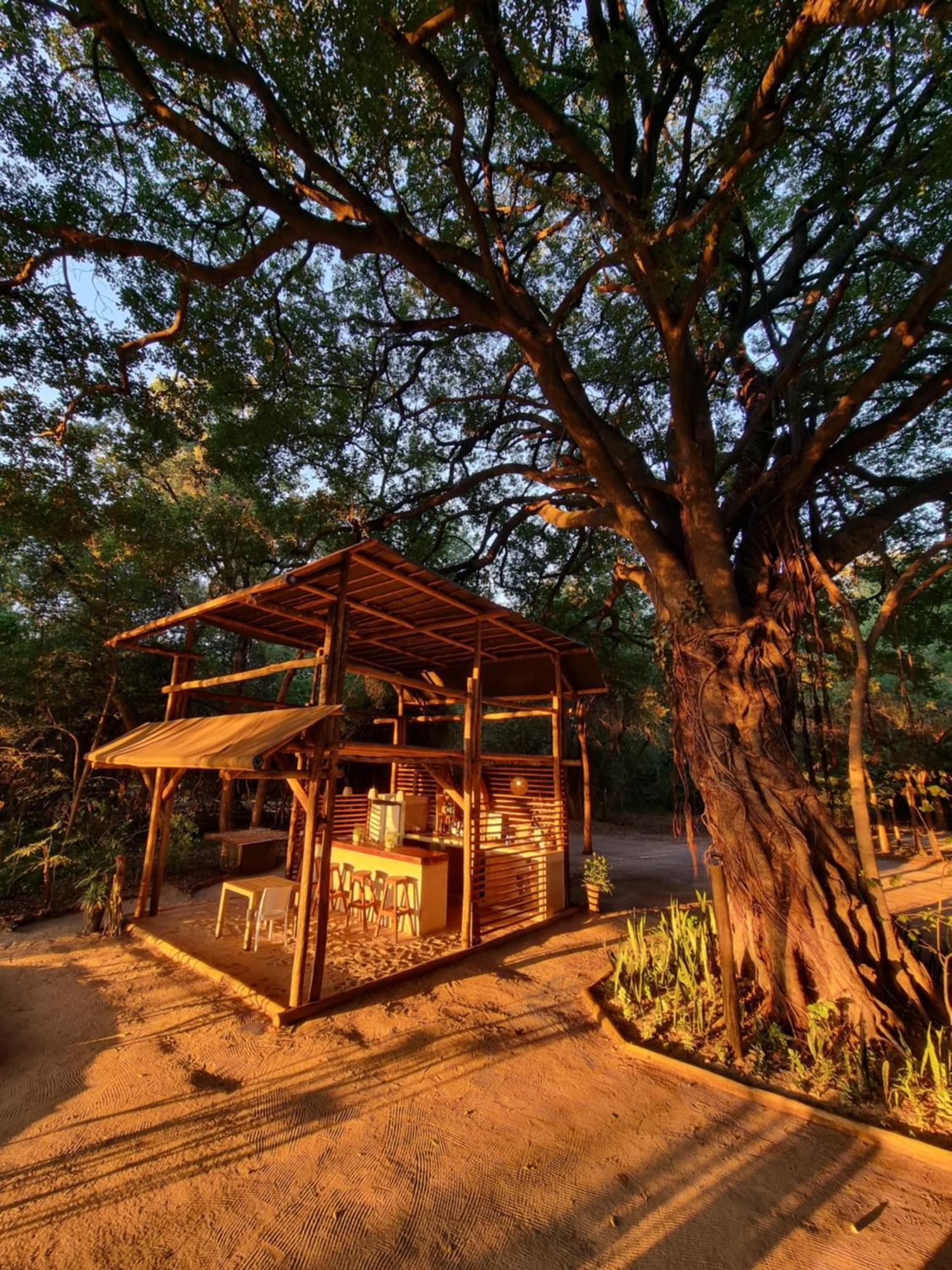 Askiesbos - Samochima Bush Camp Shakawe Kültér fotó