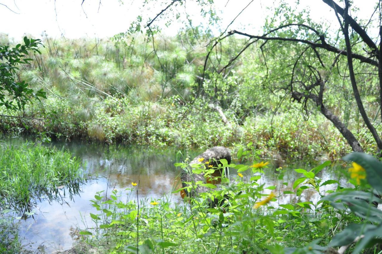 Askiesbos - Samochima Bush Camp Shakawe Kültér fotó
